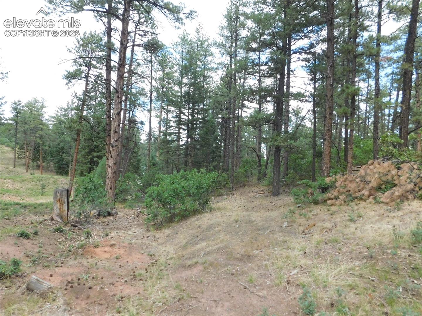 Photo 28 of 8139 Bannock Drive, Larkspur