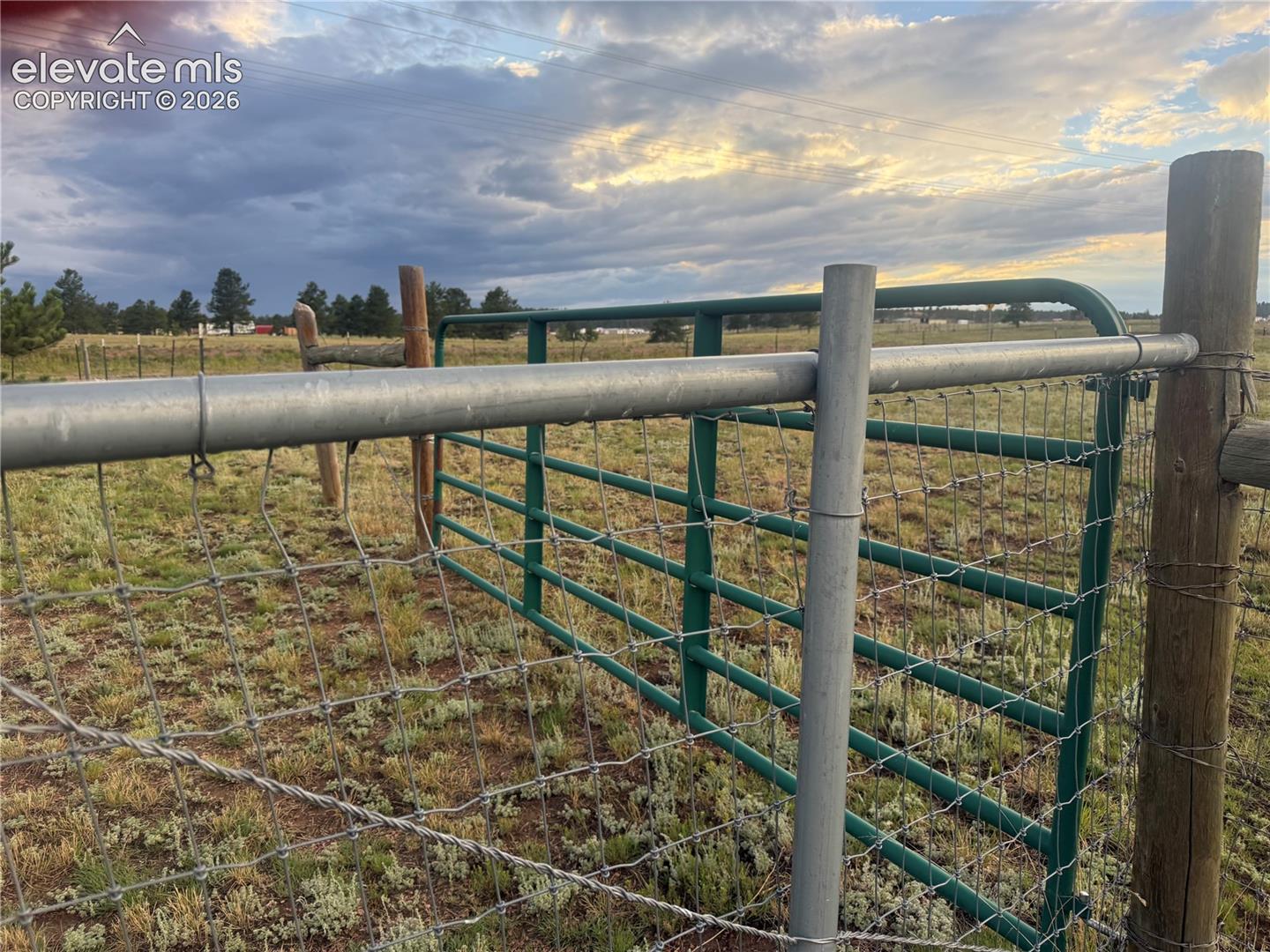 gate in back yard to fenced area in the back yard