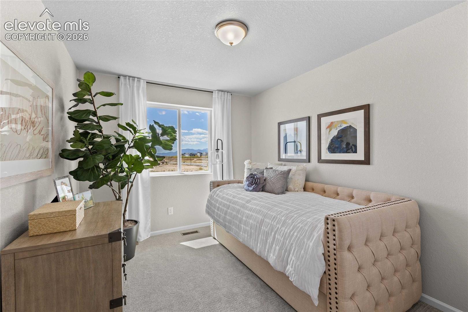 Neutral-toned room featuring wall-to-wall carpeting, a large sliding window, and a flush-mount ceiling light fixture
*photos of a model home*
