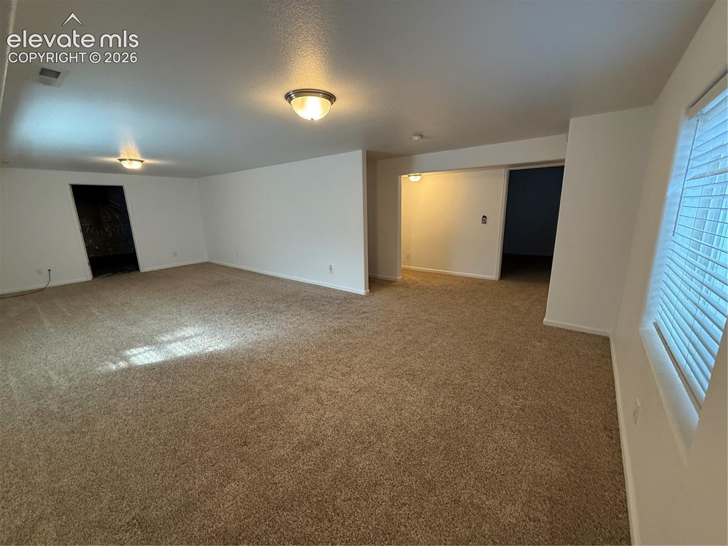 Interior room featuring neutral-tone carpeting, smooth white walls, flush-mount ceiling lighting, and windows with horizontal blinds