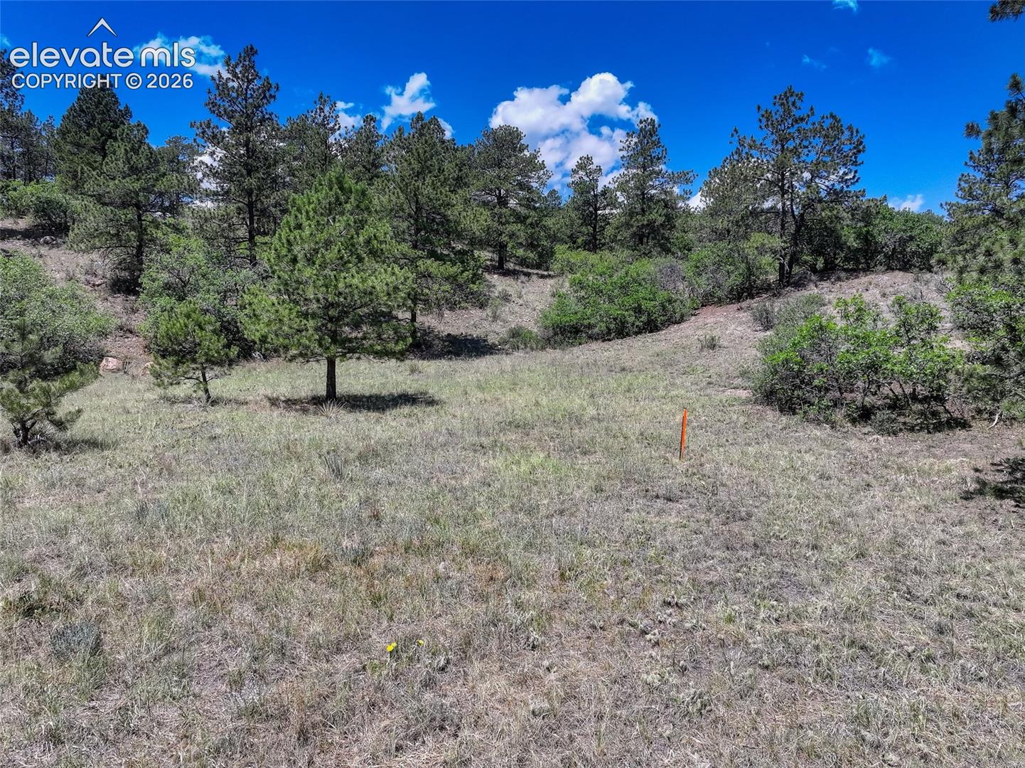 Trees & open space along back of property