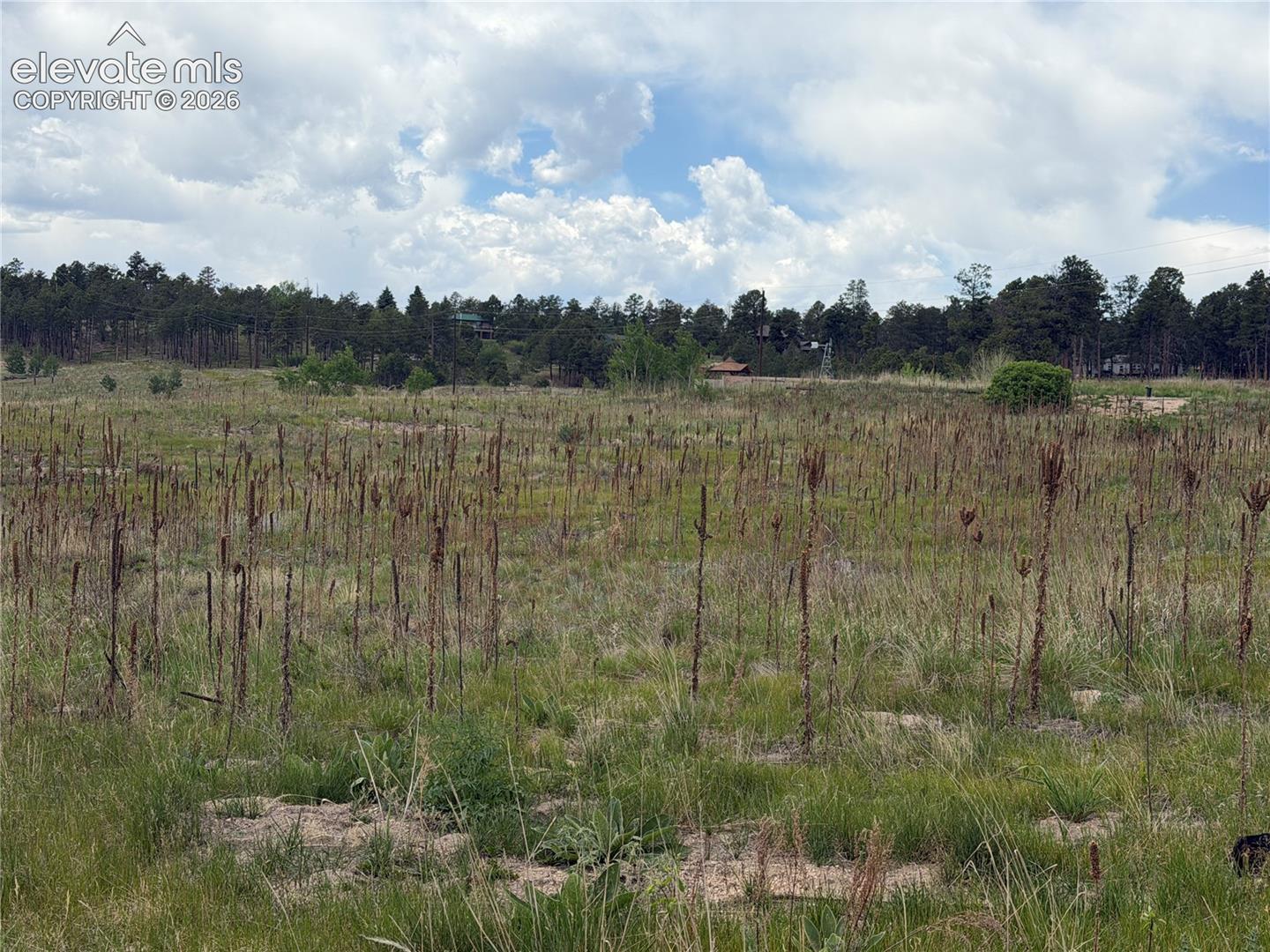 Photo 9 of 13810 Wildoak Drive, Black Forest