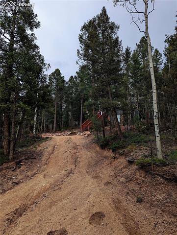 40 Flathead Ln, Woodland Park, CO 80863