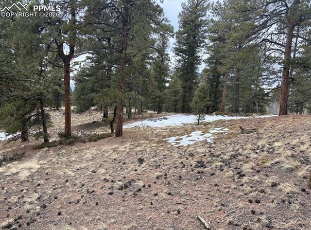 84 Point View Cir, Florissant, CO 80816