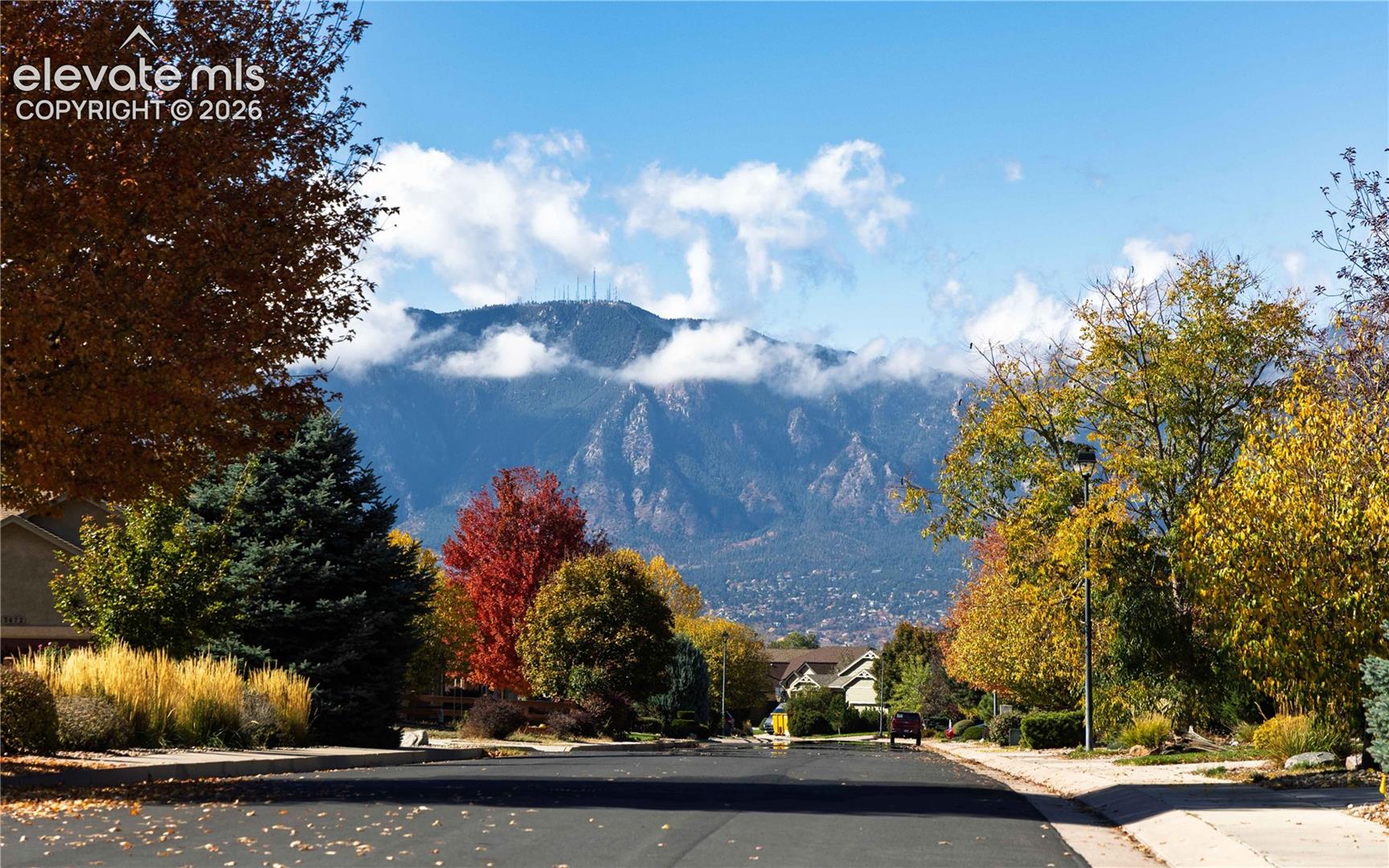 Residential street featuring mature deciduous trees and a prominent mountain backdrop
