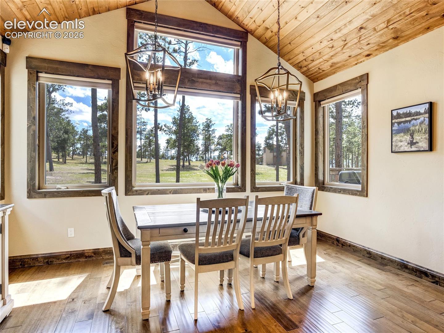 Photo 20 of 4735 Saxton Hollow Road, Colorado Springs
