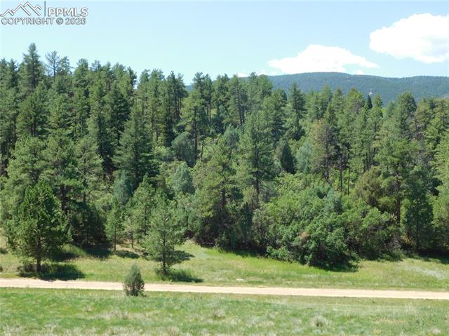 Photo 16 of 4668 Comanche Drive, Larkspur