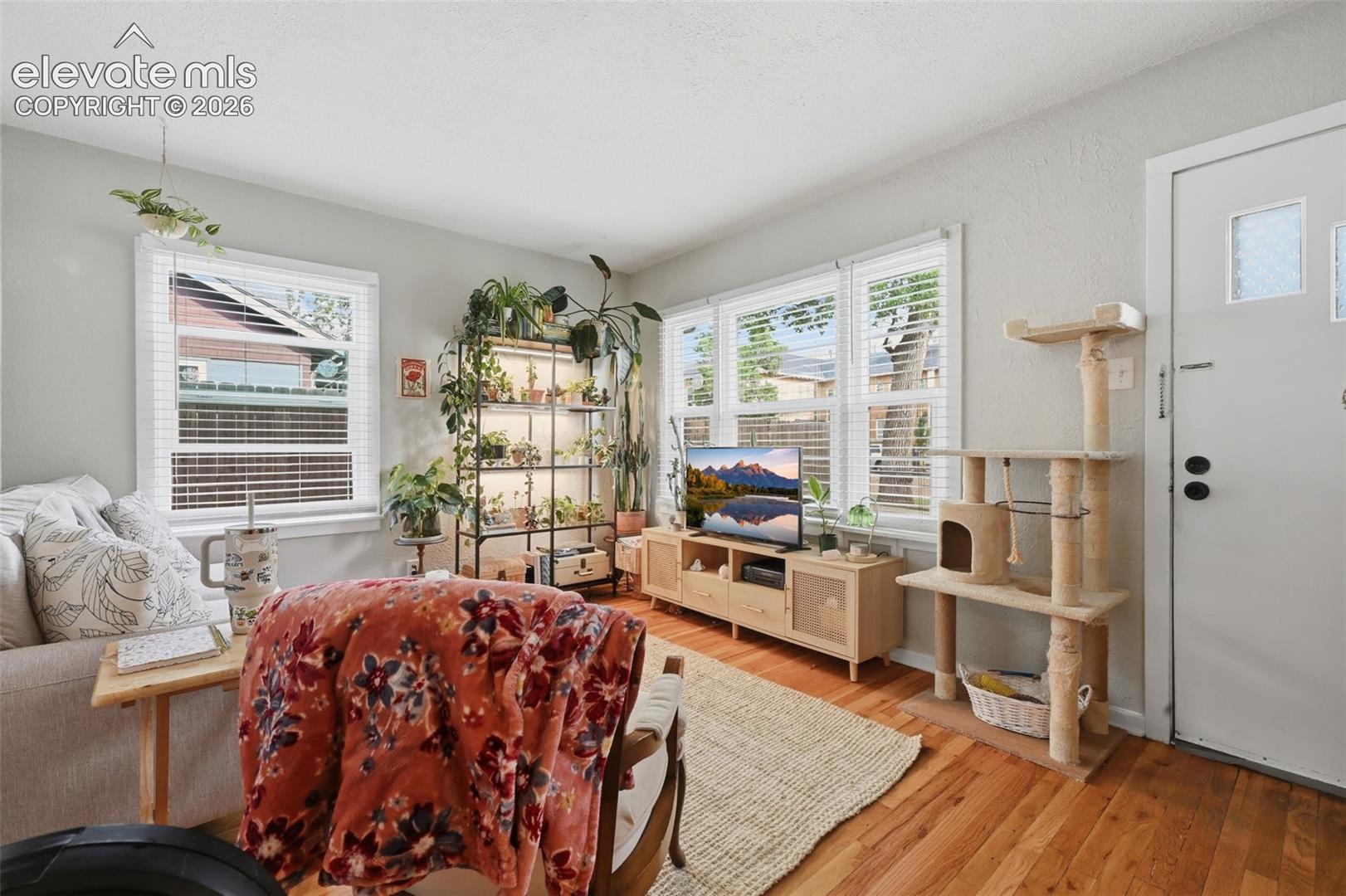 Photo 22 of 904 E Moreno Avenue, Colorado Springs