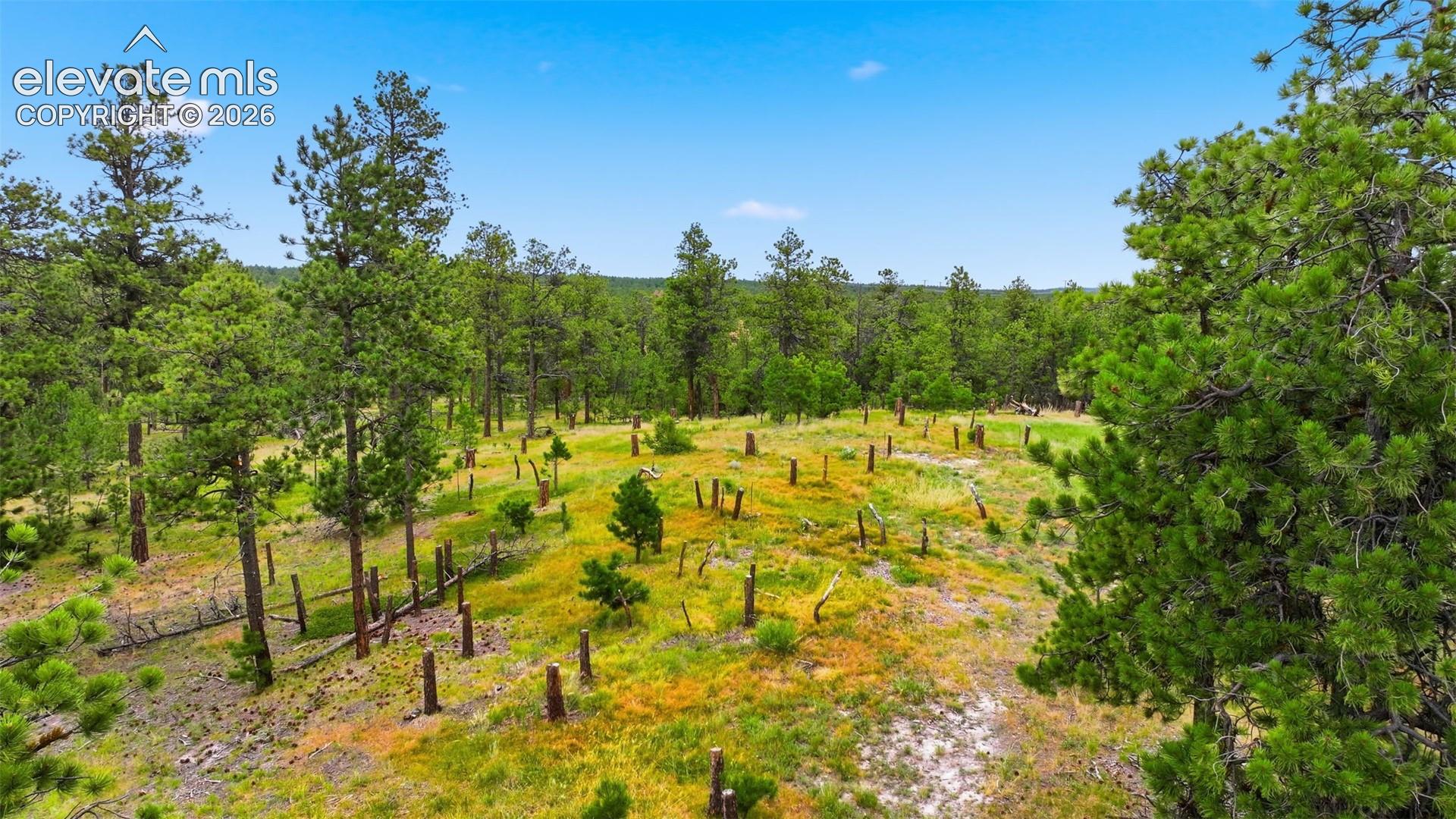 Photo 9 of 17374 Goshawk Road, Colorado Springs