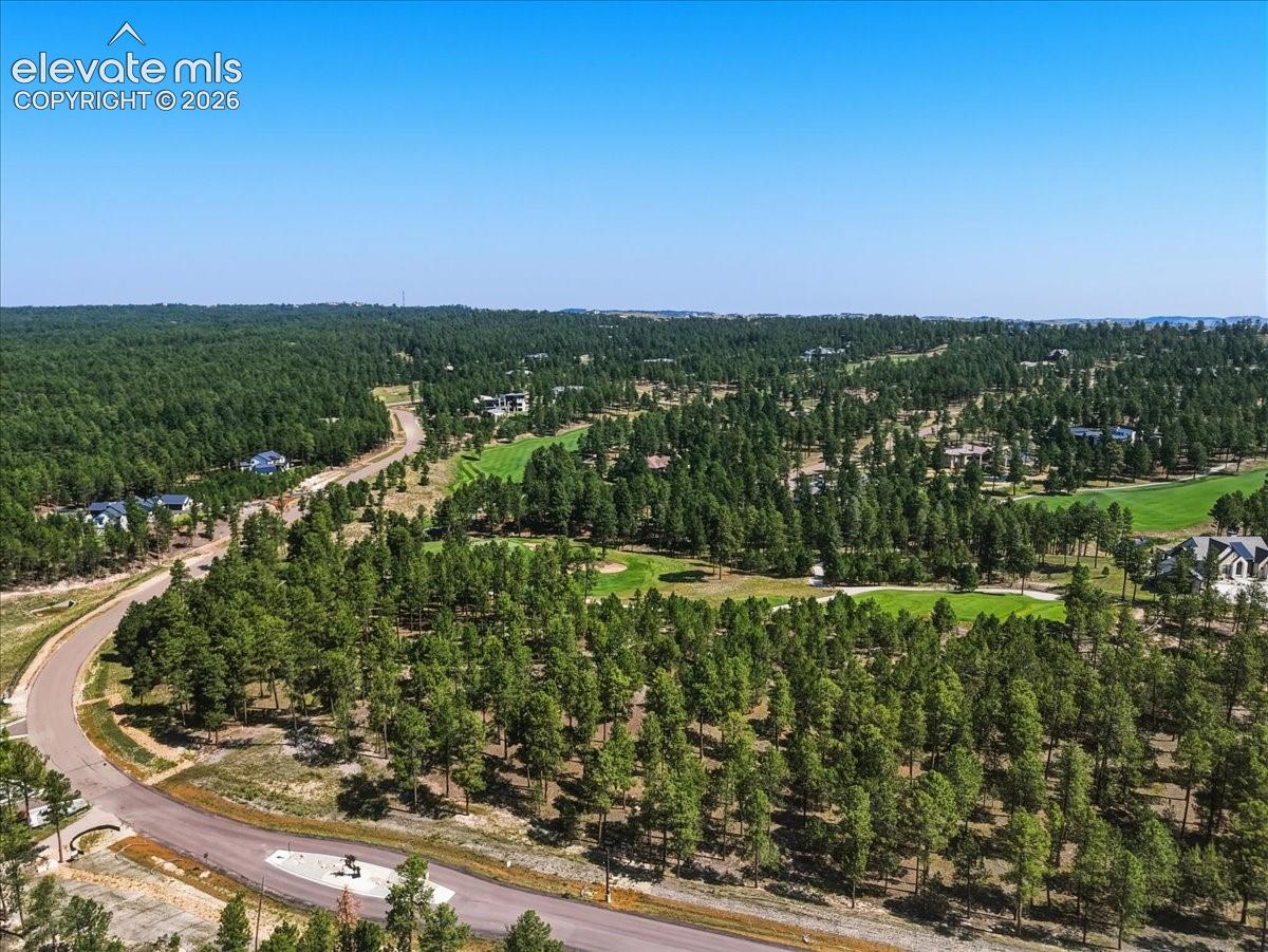 Photo 6 of 14931 Quartz Creek Drive, Colorado Springs