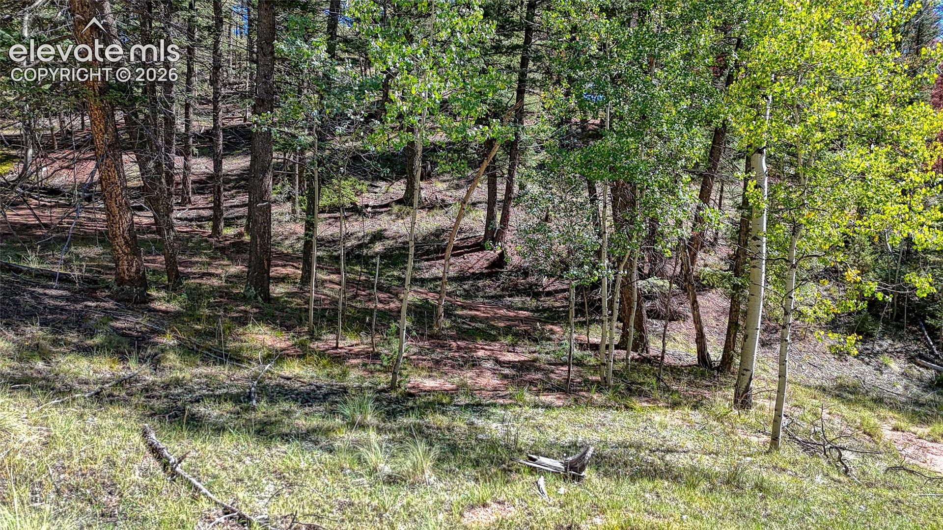 Photo 7 of 136 Gold Crown Circle, Cripple Creek
