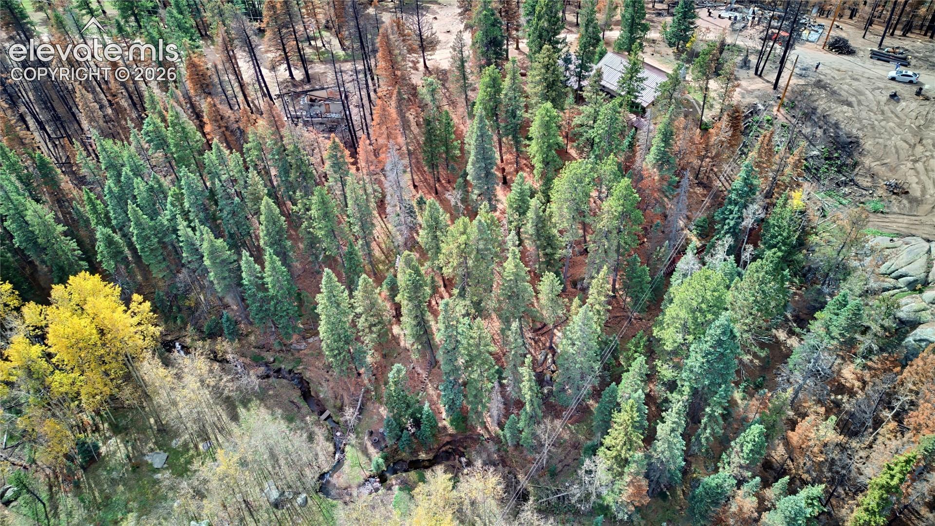 Aerial view of expansive forested acreage featuring mature evergreen trees, deciduous foliage, and a natural creek bed