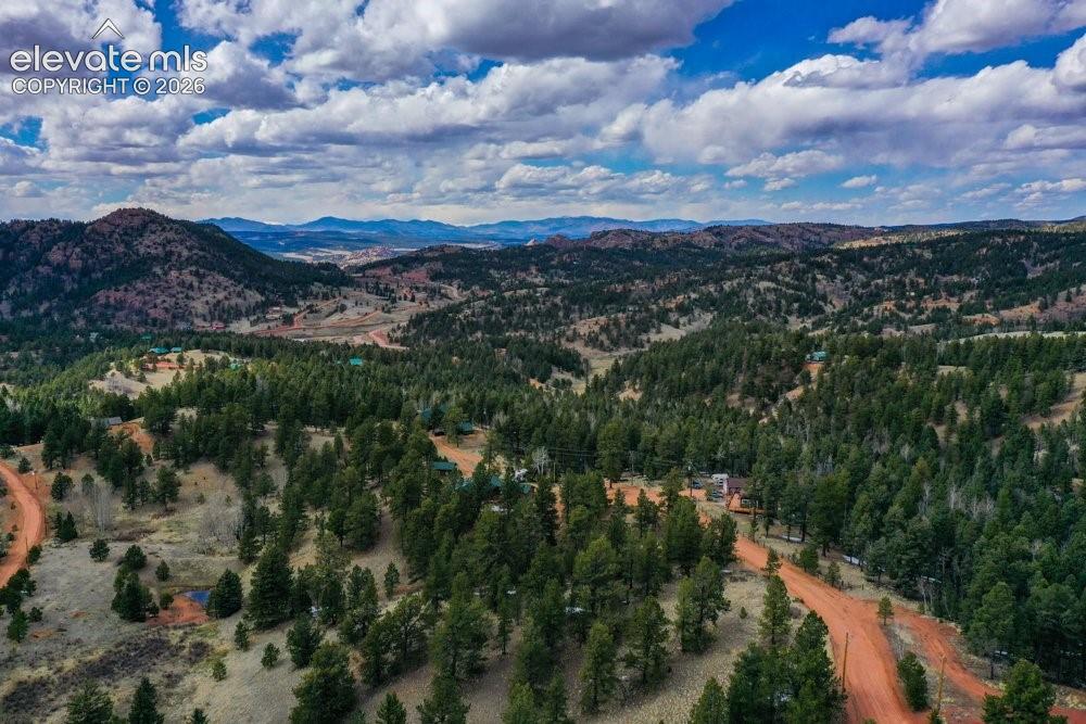 Bird's eye view with a mountain view and a view of trees