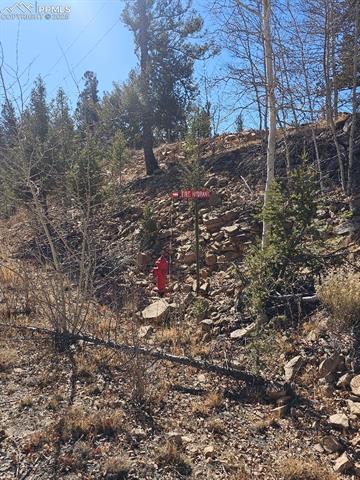 Looking up at the main road, Fire Hydrant, Main Water Line, and electricity at front of the property line.