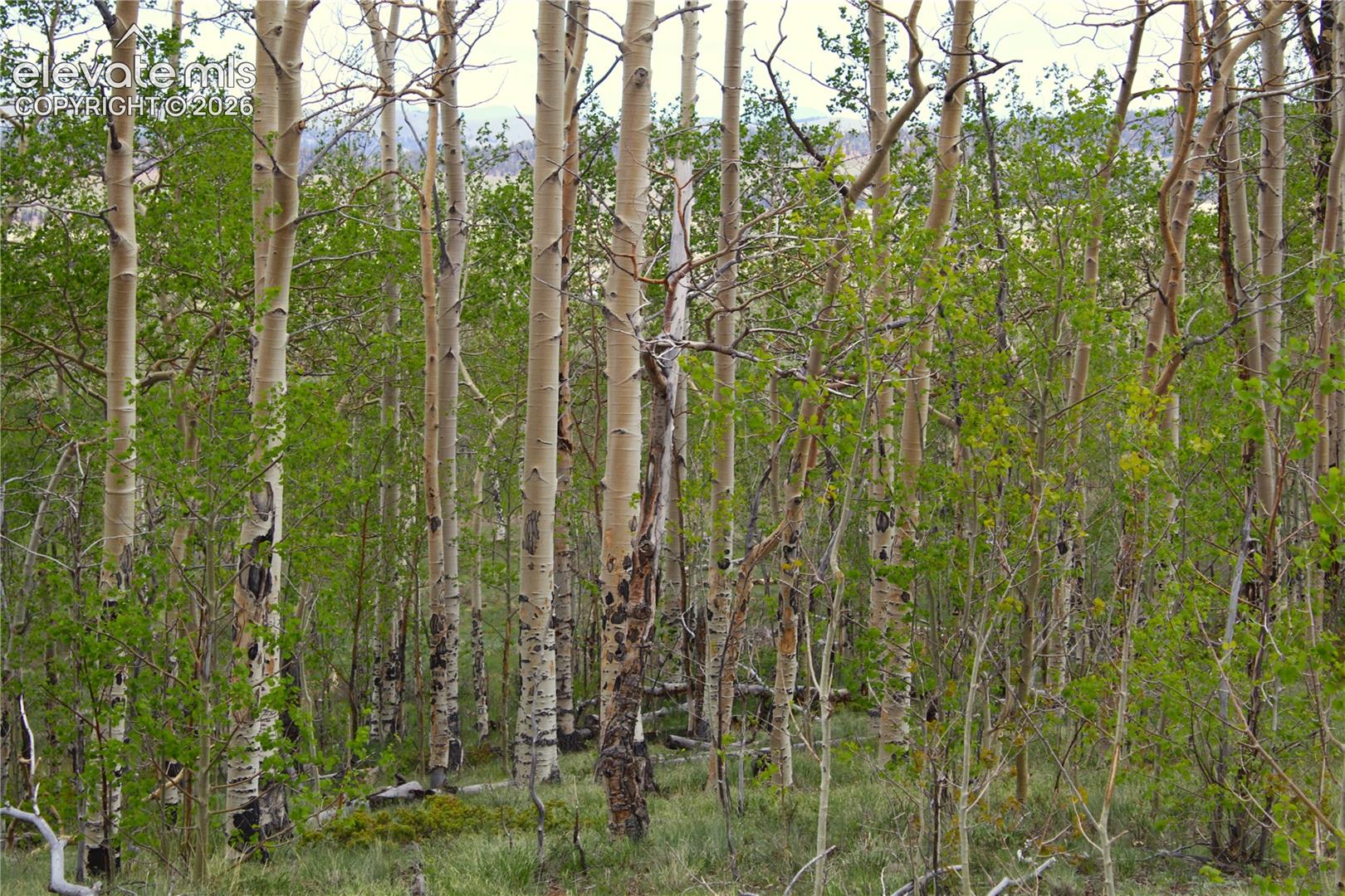 Photo 13 of 20400 Highway 285, Fairplay