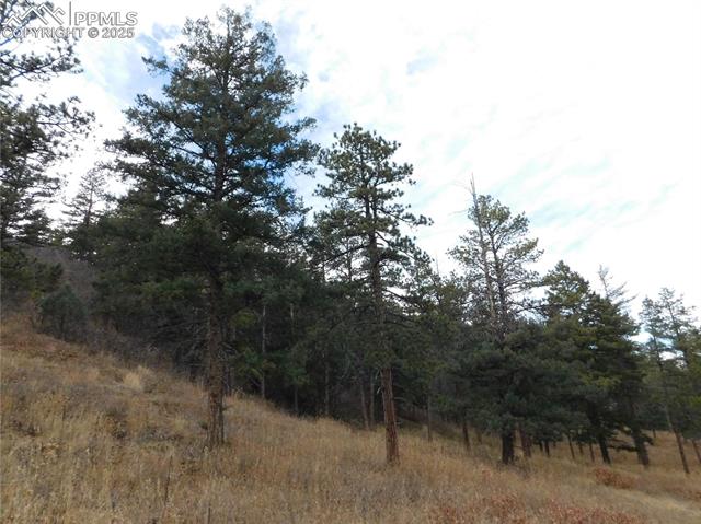 Photo 13 of 8055 Acoma Drive, Larkspur