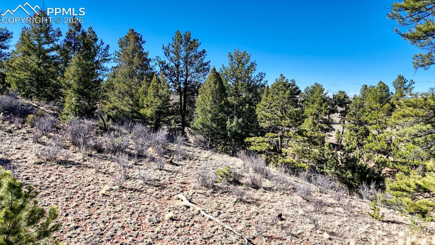 Photo 8 of Lot 5124 Arikara Trail, Hartsel
