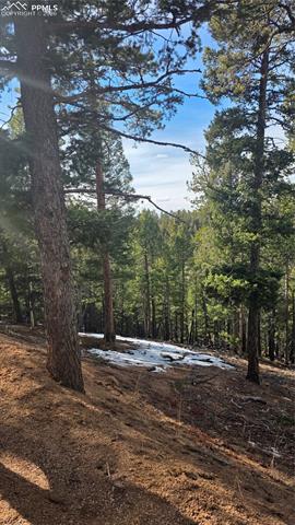 Photo 3 of 321 Tillicum Trail, Woodland Park