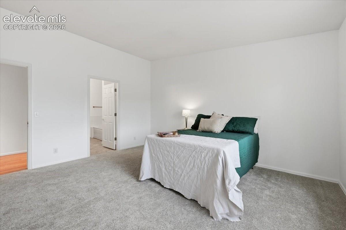 Spacious room featuring neutral carpeting, high ceilings, and two interior doors