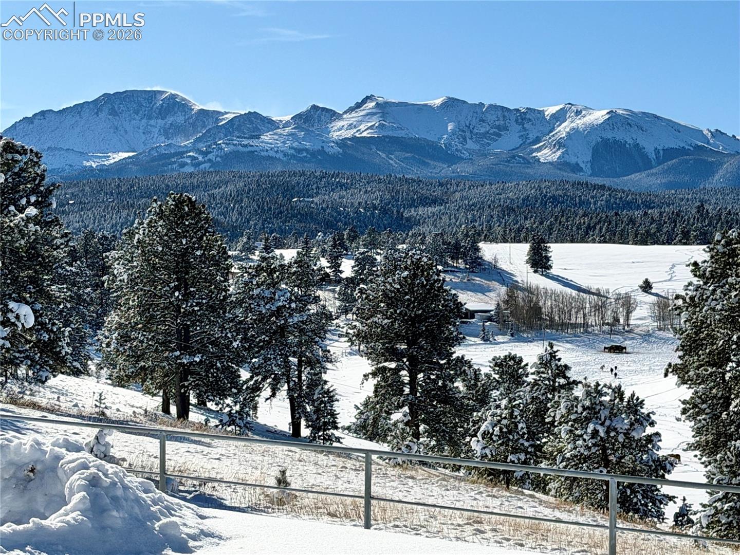 231 S Forty Rd, Woodland Park, CO 80863