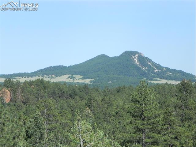 View form lot
