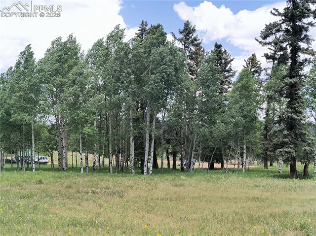 View of nature