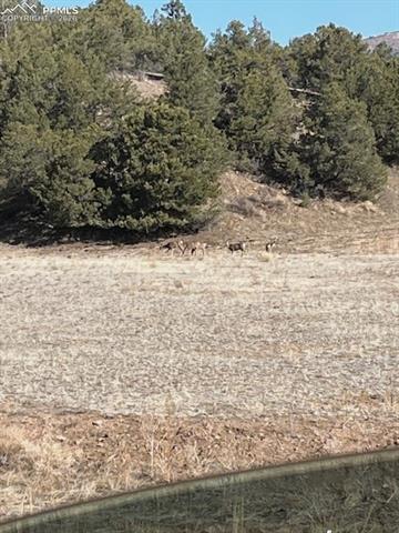 Lot 17 S Dunn Dr, Canon City, CO 81212
