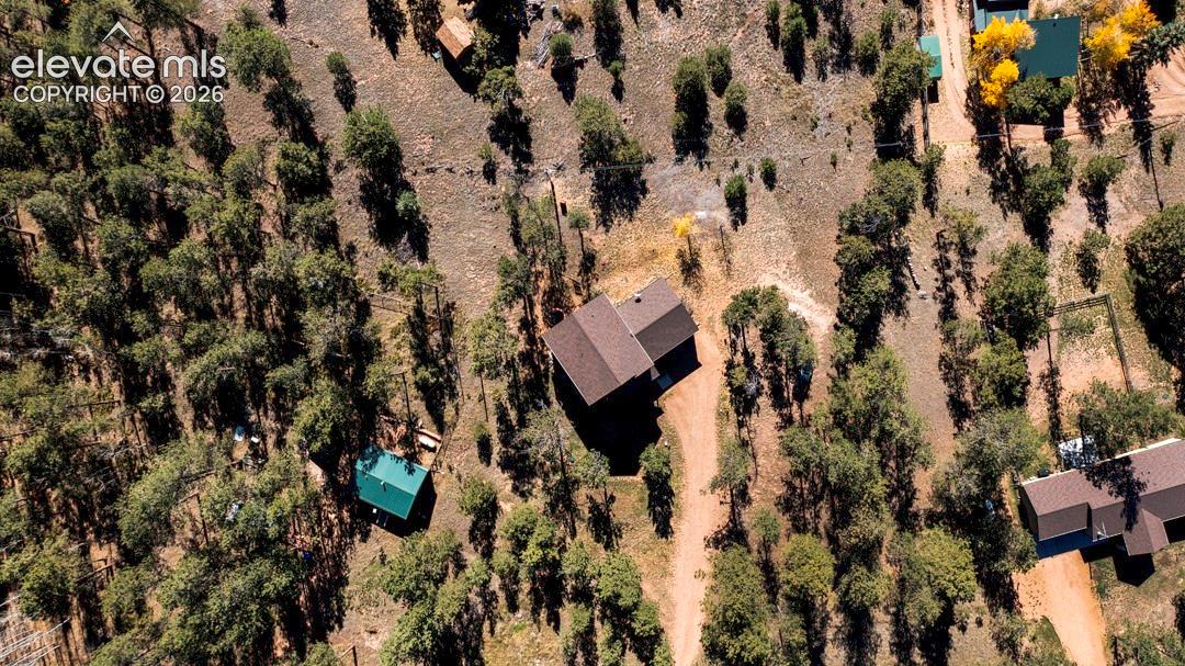 Aerial perspective of a detached residence featuring a brown shingle roof, surrounded by mature pine trees and natural landscaping