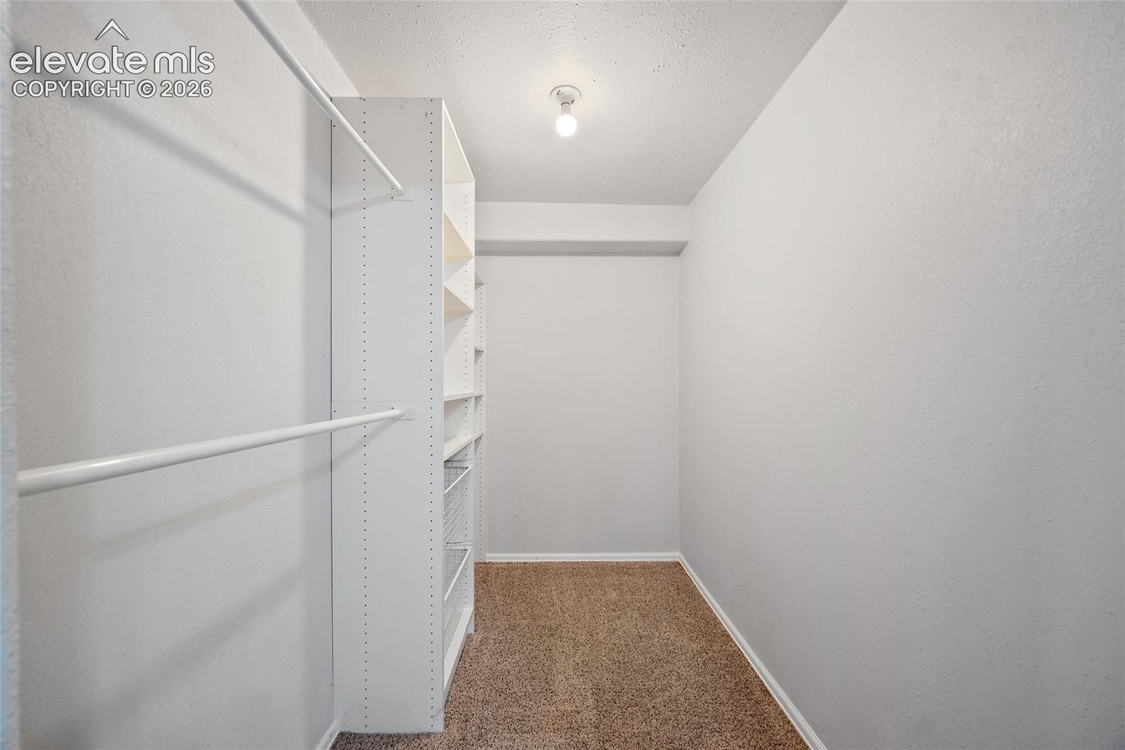 Walk-in closet featuring built-in shelving, dual hanging rods, light-colored walls, and neutral carpeting