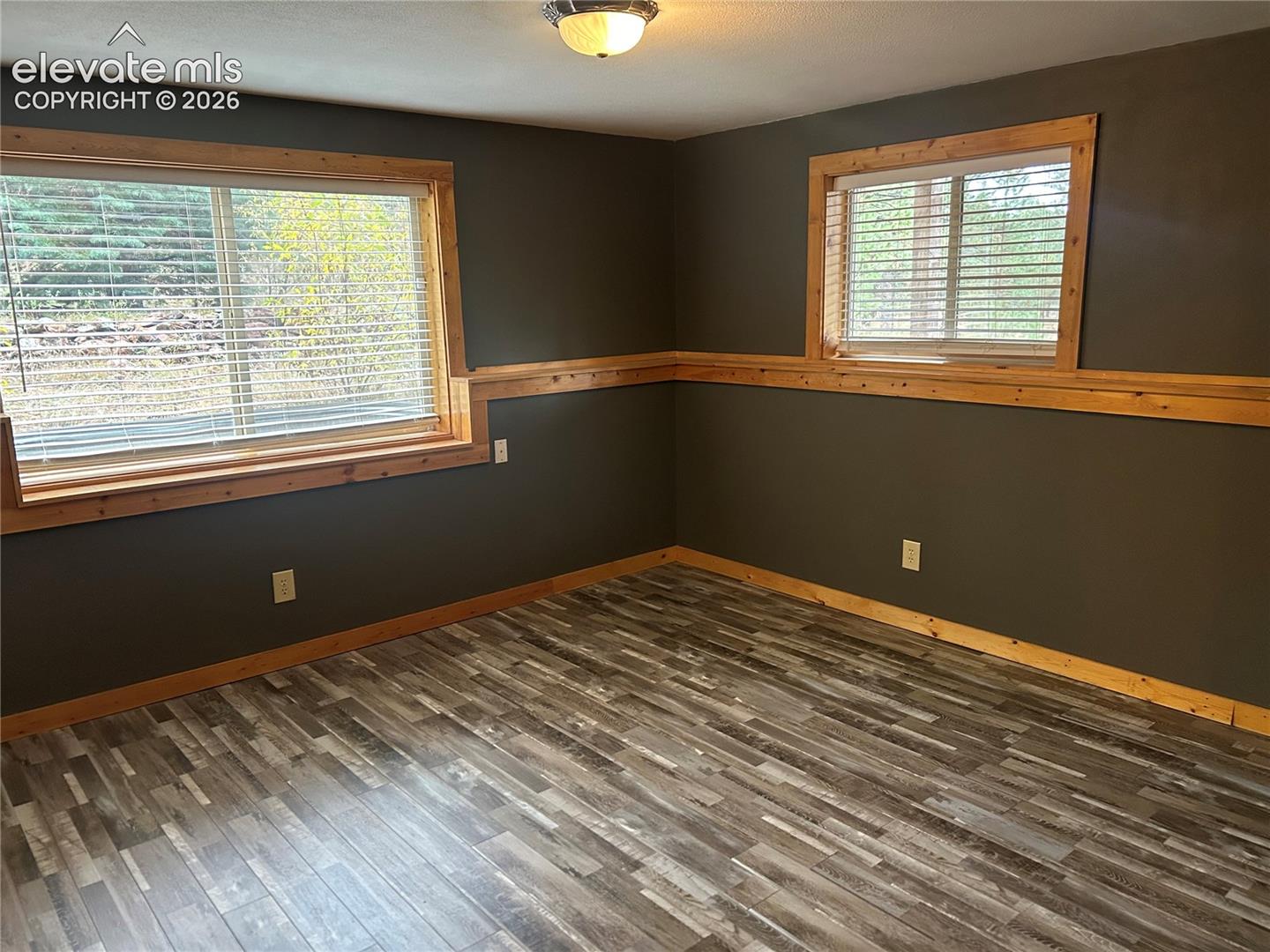 Large, bright basement bedroom with upgraded LVP flooring and ample closet space.