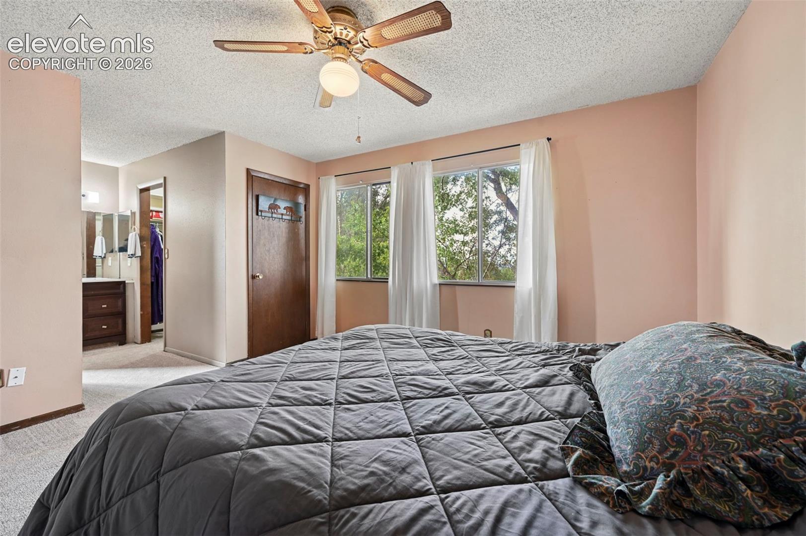 Photo 9 of 3202 Bell Mountain Drive, Colorado Springs