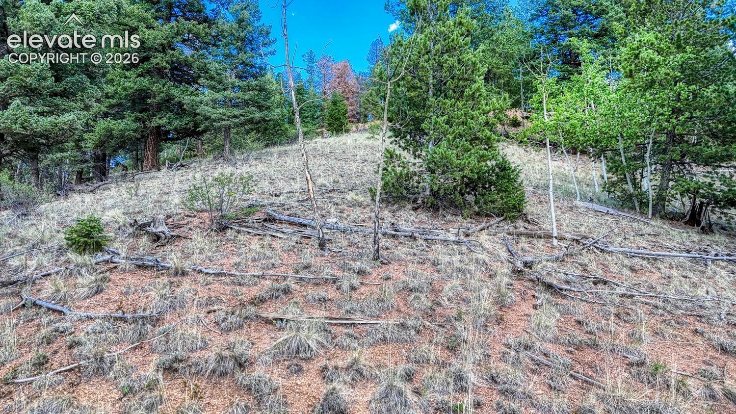 Photo 16 of 783 Bennett Drive, Cripple Creek