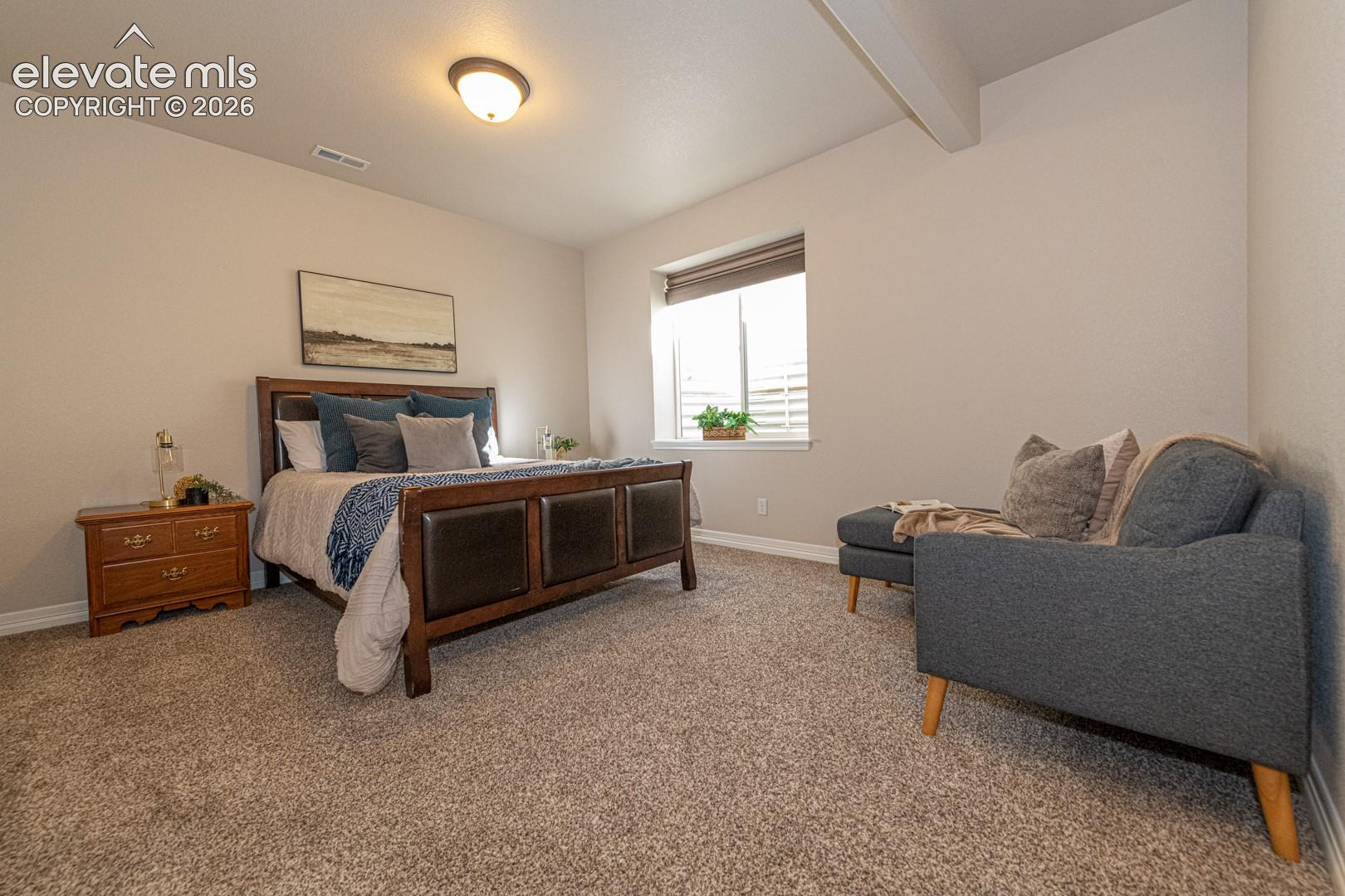 Basement Bedroom 2