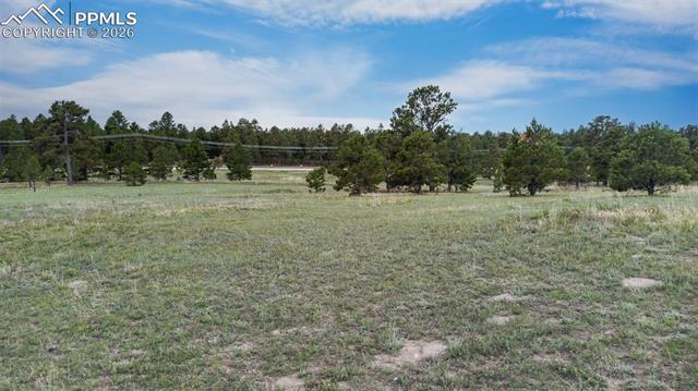 Photo 9 of 11809 Flap Jack Lane, Colorado Springs