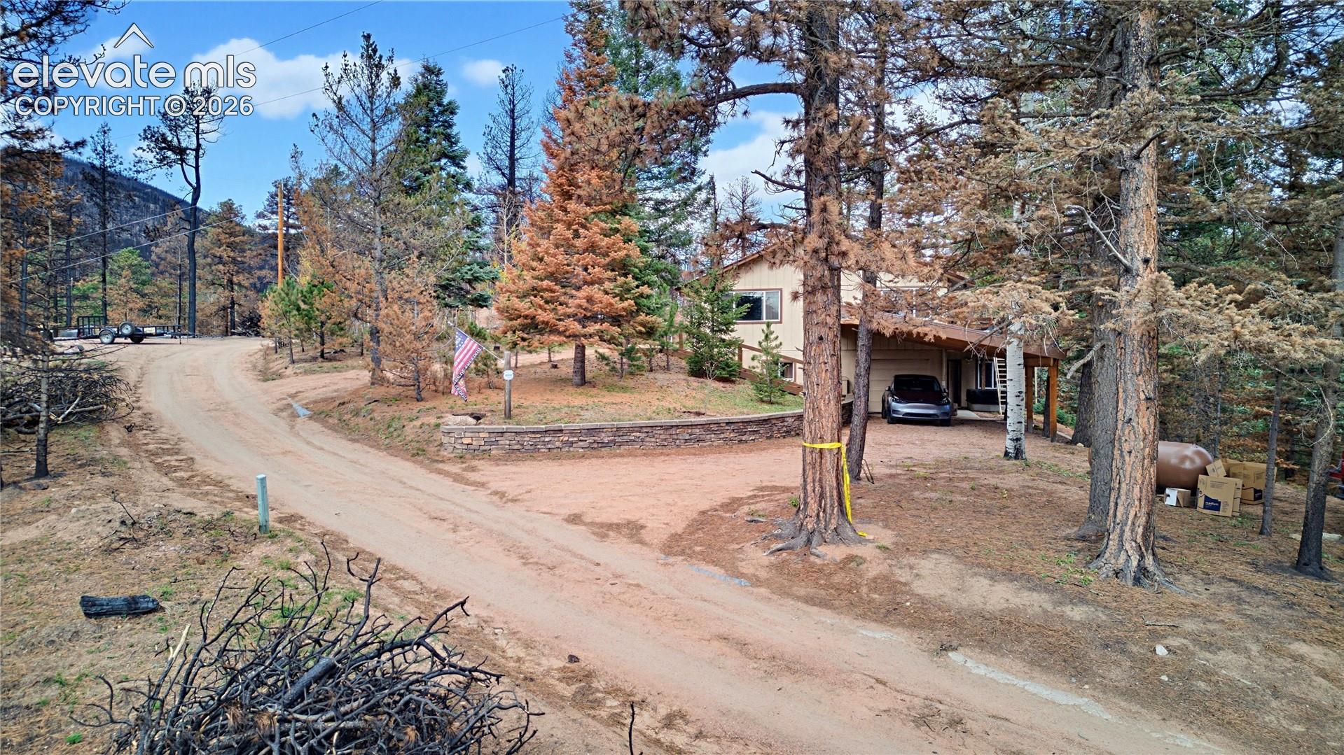 Wooded lot featuring a natural dirt driveway, stone retaining wall, and covered parking structure