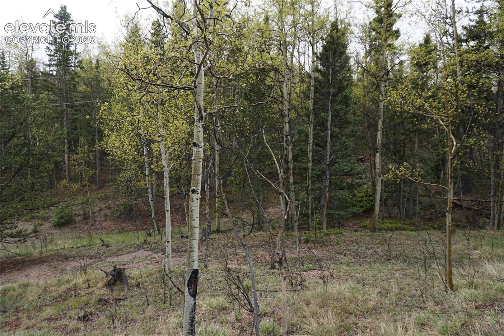 0 Vacant Land NA, Cripple Creek, CO 80813