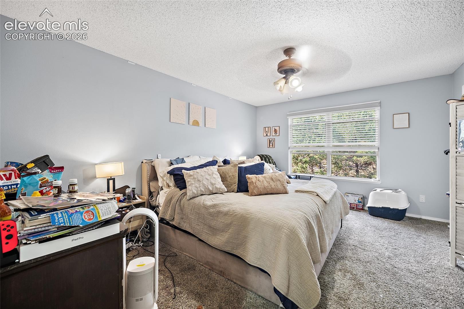 Recessed window offering natural light, carpeted flooring, and a ceiling fan with light fixture