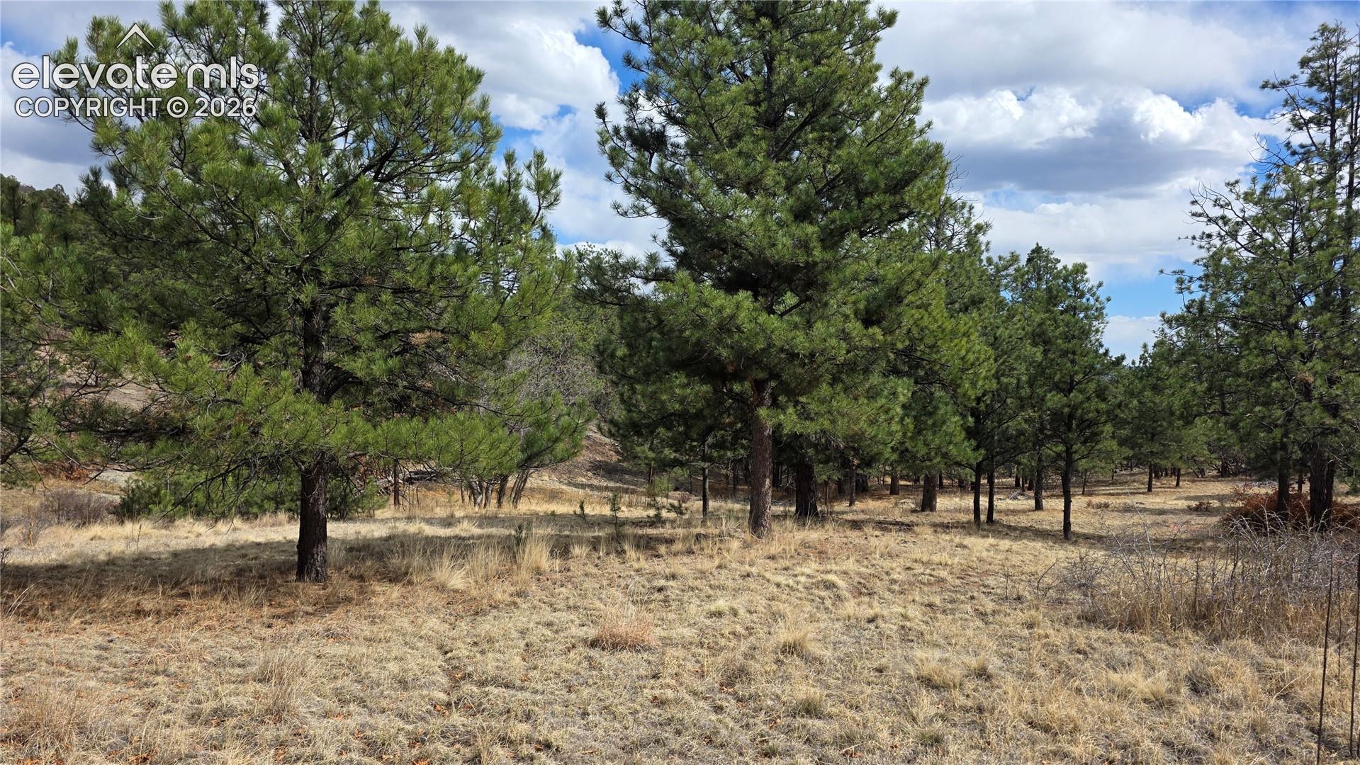 2002 Comanche Cir, Florissant, CO 80816