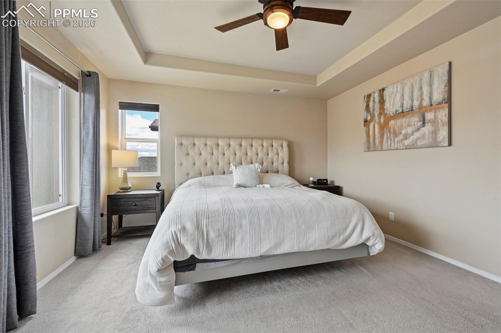 Photo 18 of 8742 Windy Plains Court, Colorado Springs