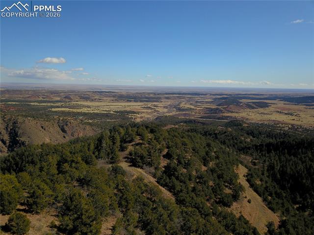 Photo 13 of 3735 Big Spruce Heights, Colorado Springs