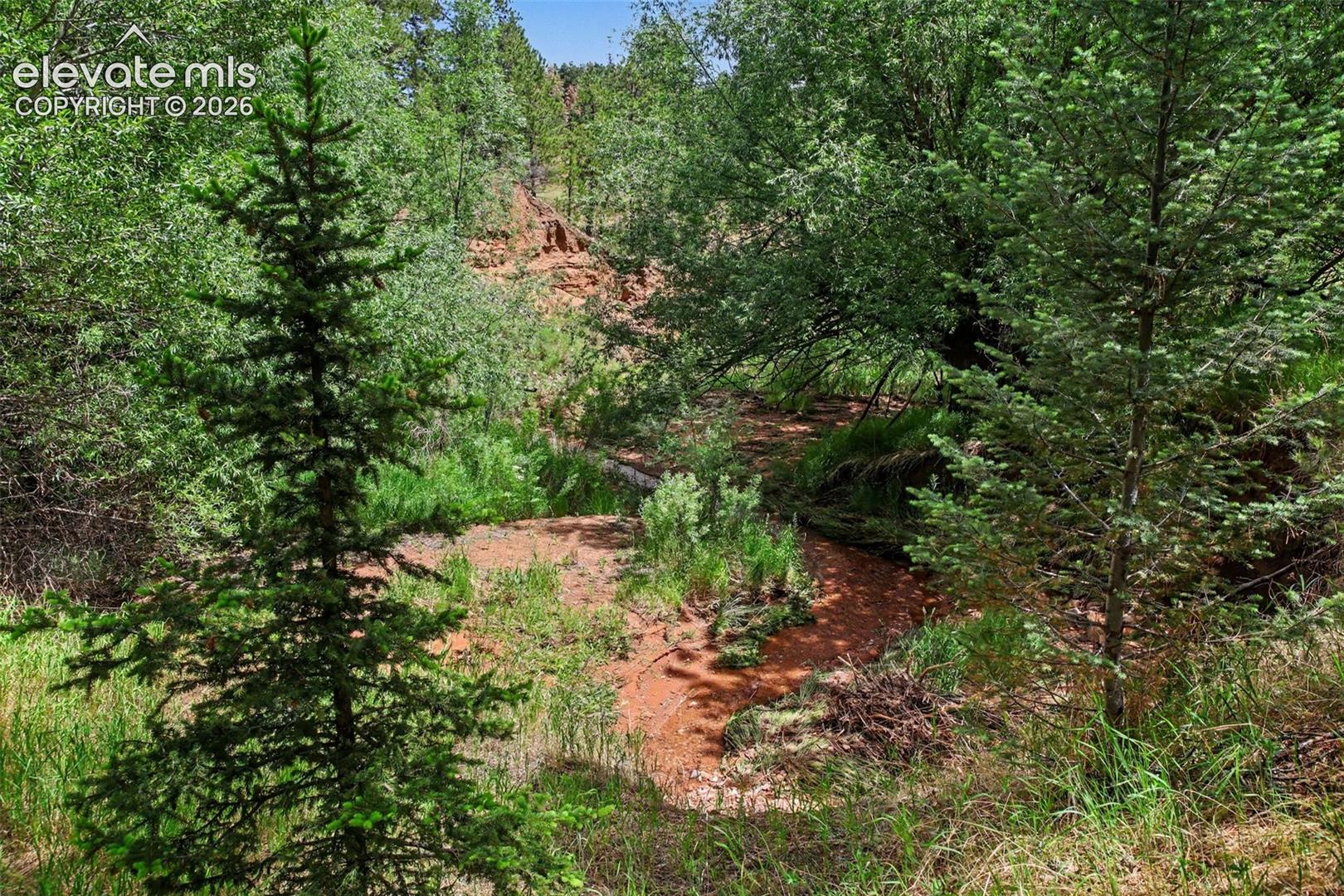 Photo 11 of 10905 W Highway 24, Green Mountain Falls
