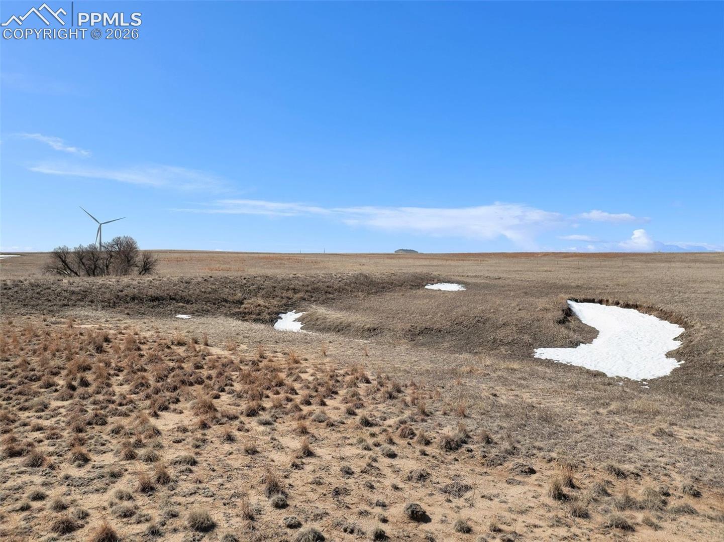 View across the property showing natural grasses and soil conditions.
