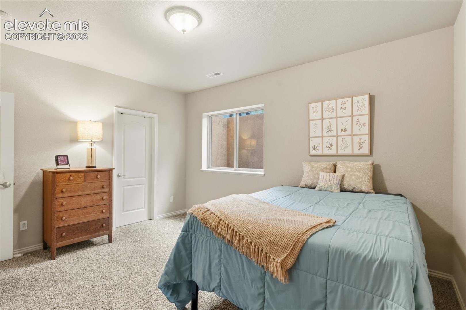 Carpeted interior room featuring light gray walls and a ceiling-mounted light fixture