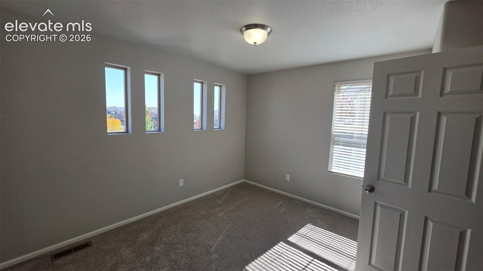 Neutral-toned room featuring neutral carpeting, a six-panel door, multiple narrow windows, and a flush-mount ceiling light
