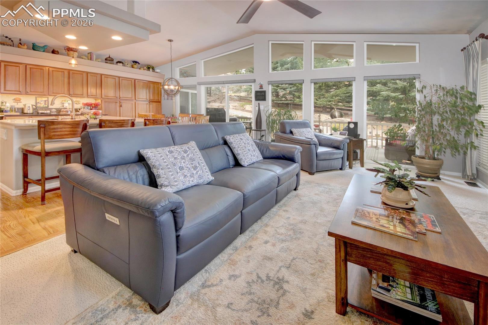 Living room offers lots of natural light