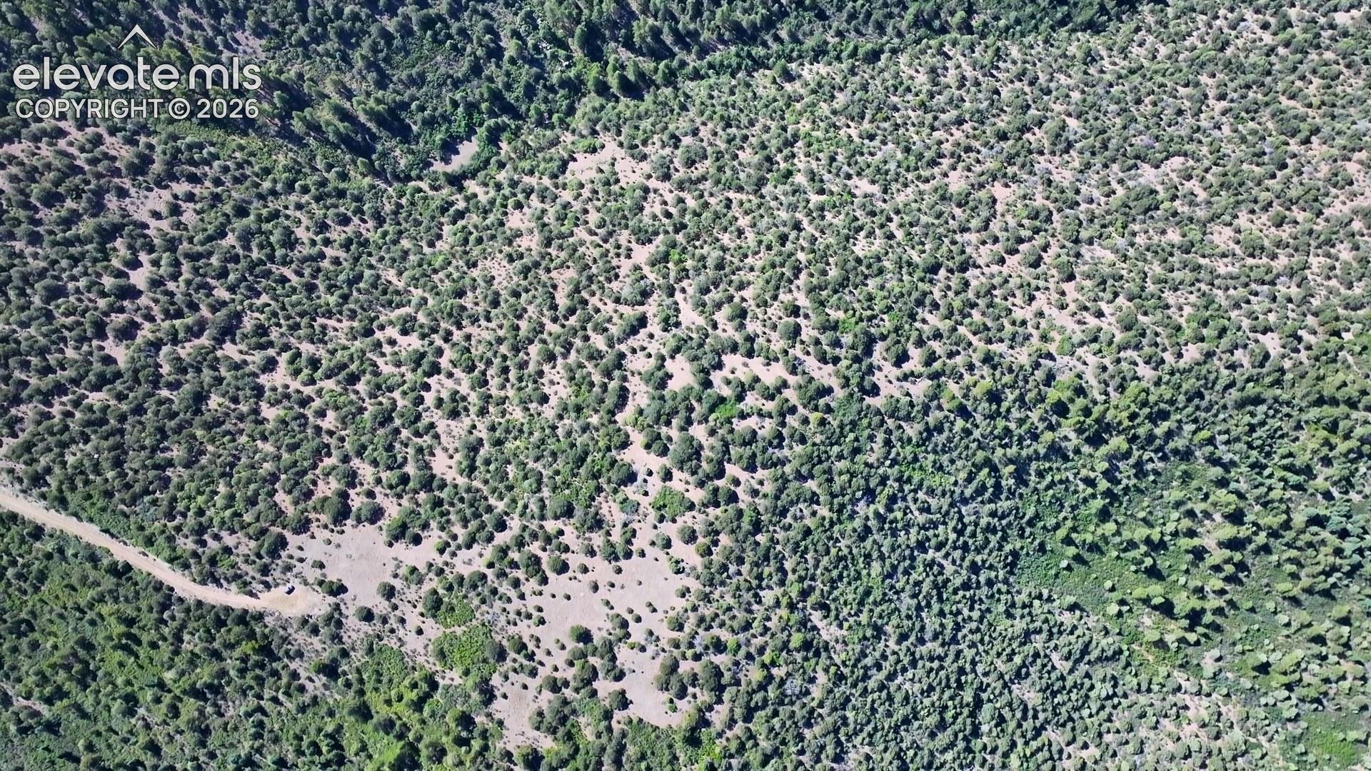 Aerial 2