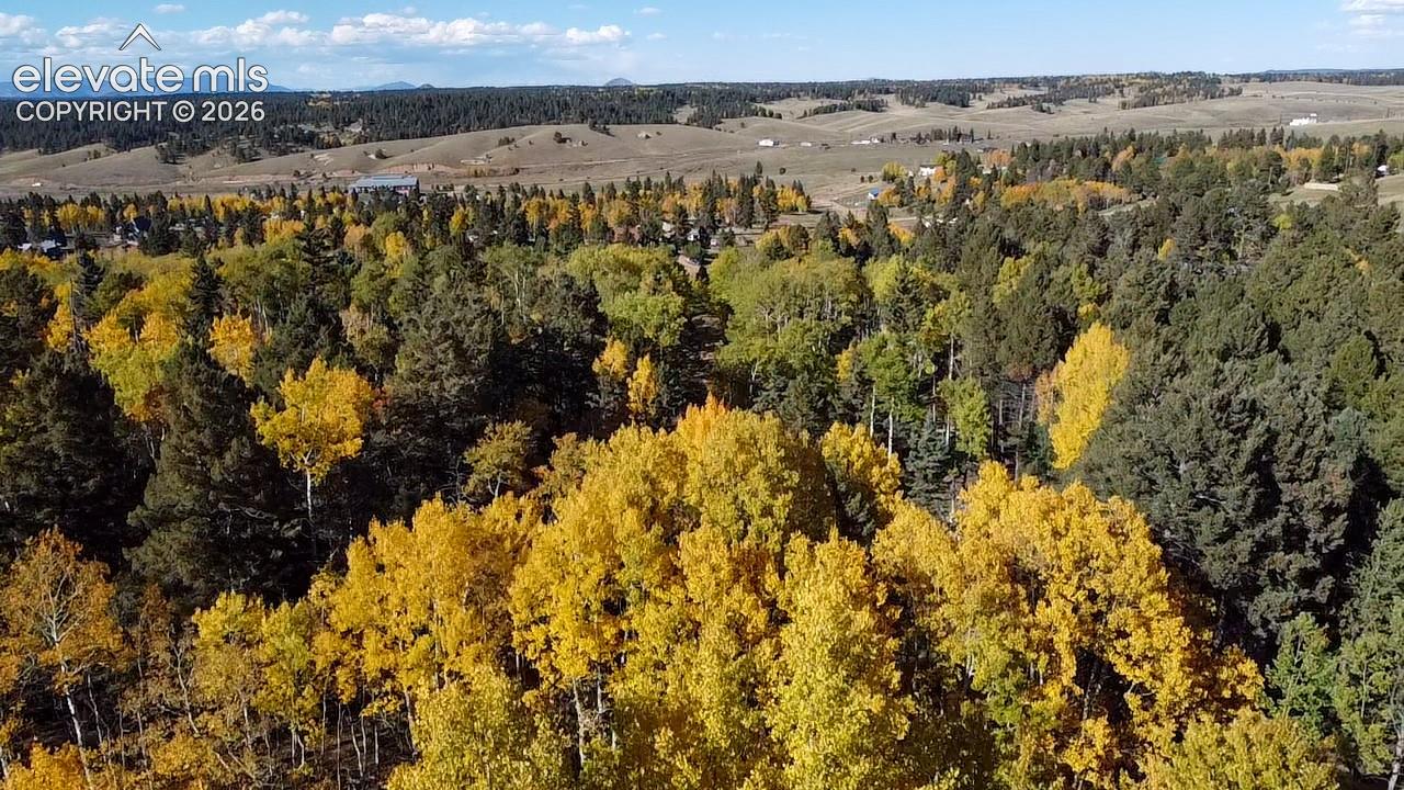 Expansive forested landscape featuring deciduous and evergreen trees, rolling hills, and a distant mountain range