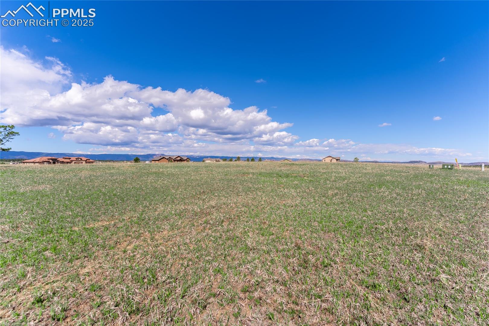 Photo 13 of 16954 Horizon Ridge Trail, Colorado Springs