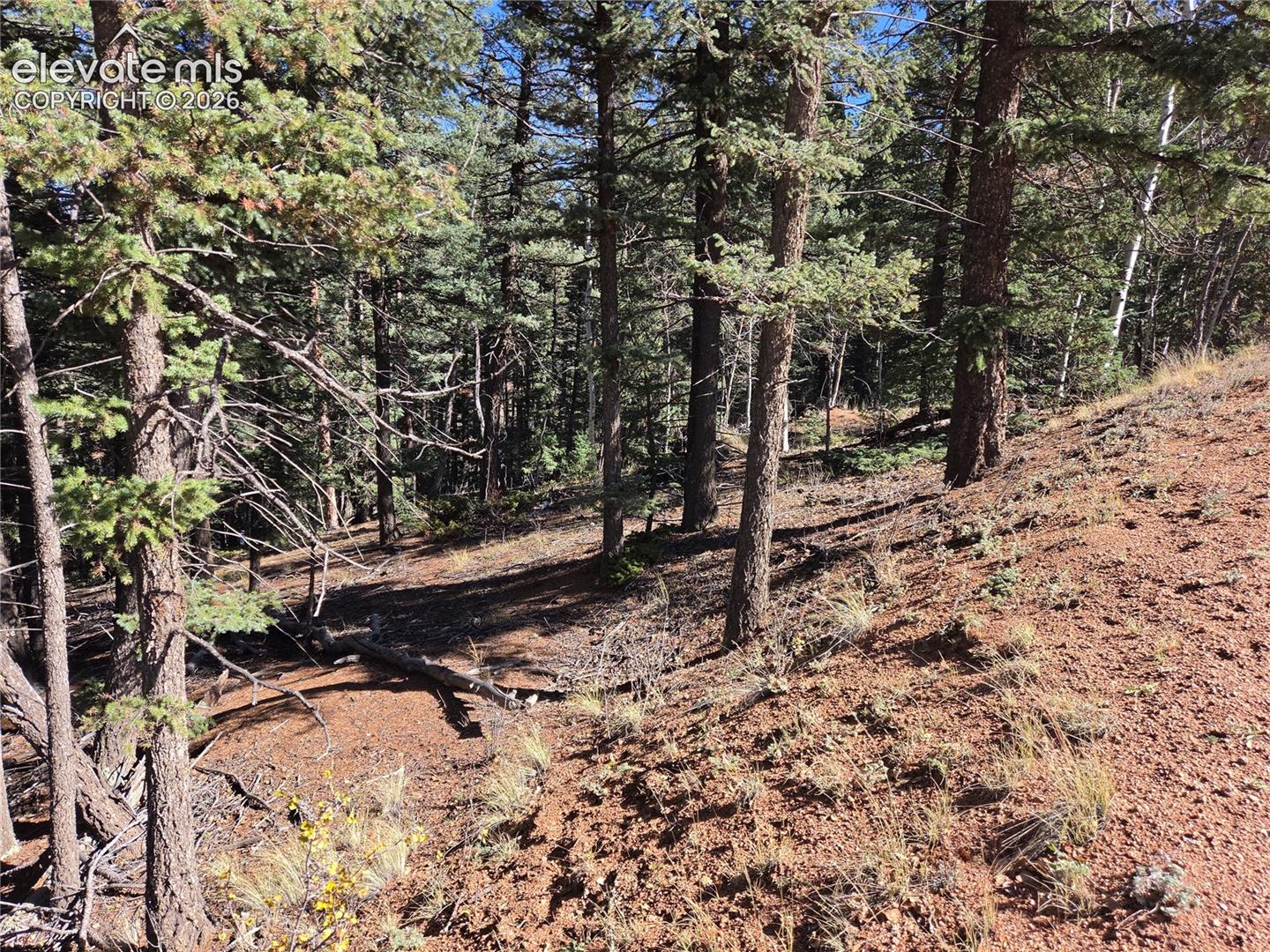 Natural sloping terrain