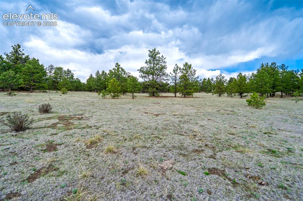 Photo 14 of Tract 103 Doe Valley Road, Guffey